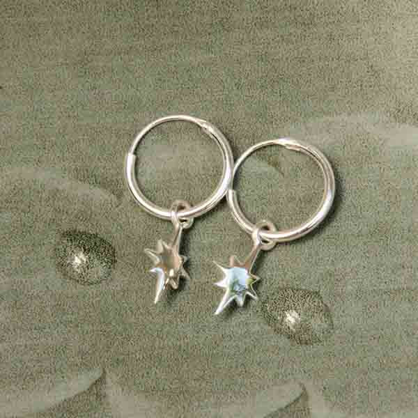 Boucles D'oreilles Pendantes Dauphins, Métal Argenté, Breloque, Neuves Avec étiquettes