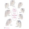 Boucles d'oreilles créoles argent rondes taille moyenne