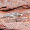 Earlines plumes remontant le lobe en argent patiné