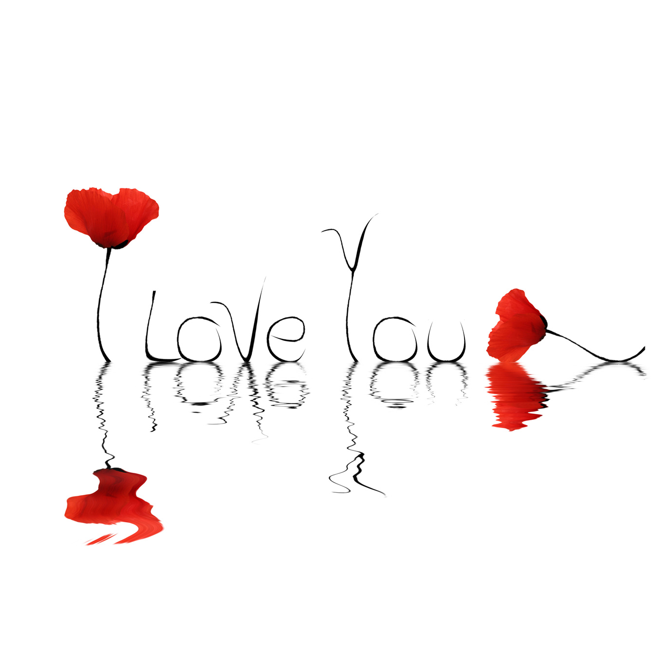 Coquelicots- i love you